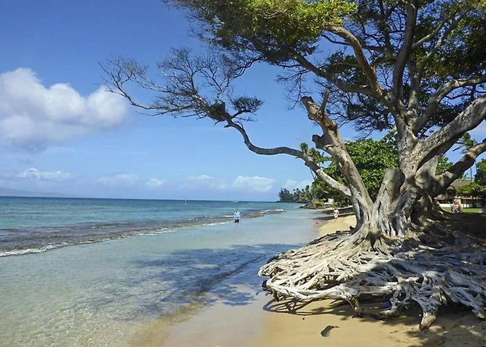 Polynesian Shores 118