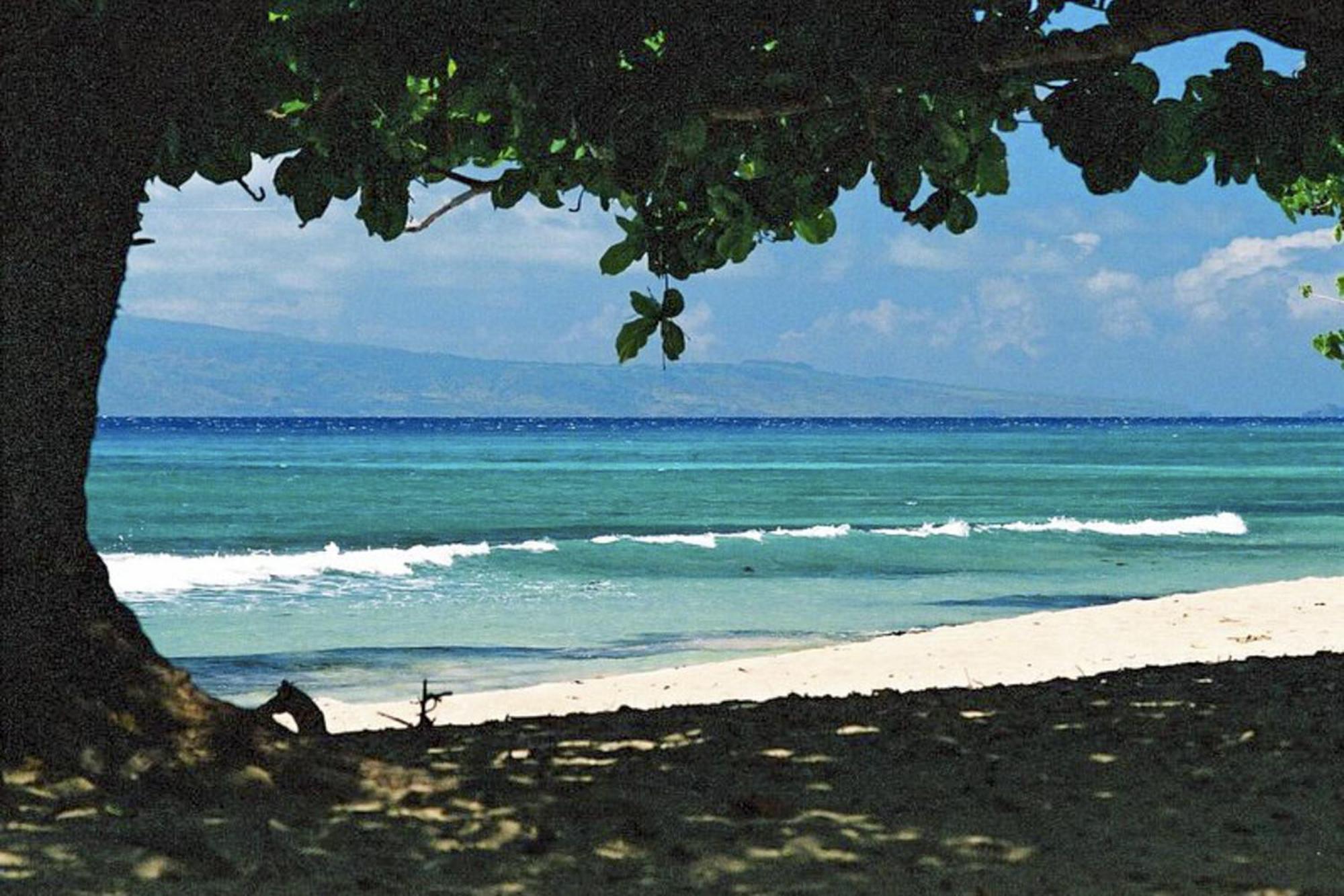 Apartment Polynesian Shores 118