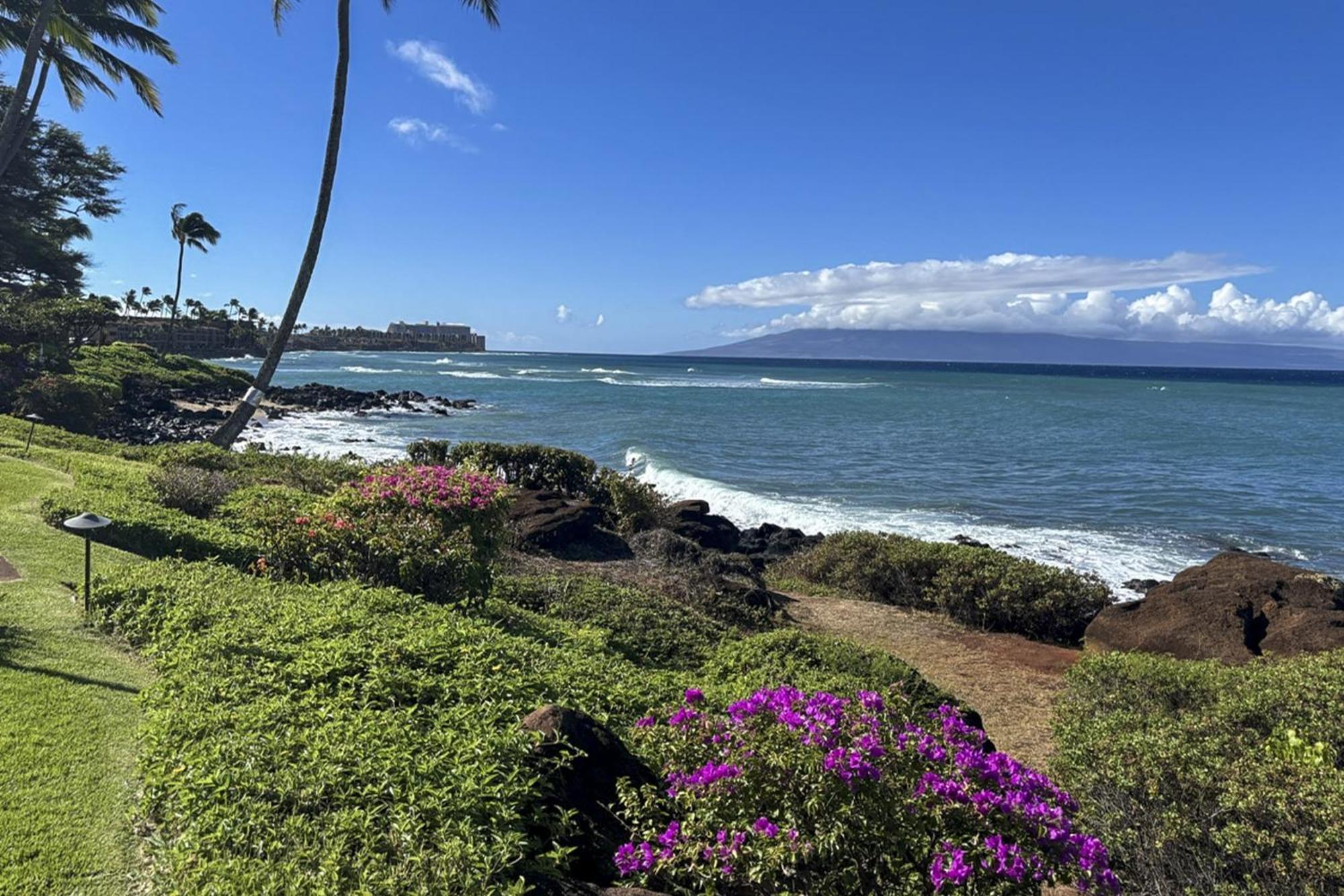 Polynesian Shores 118 *
